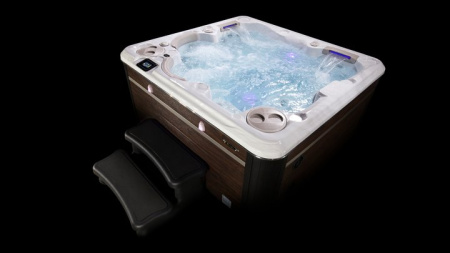 Спа бассейн Hydropool Self-Cleaning 495 Gold